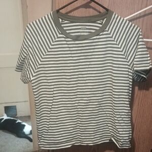 Levi's Green and White Striped Short Sleeve Tee